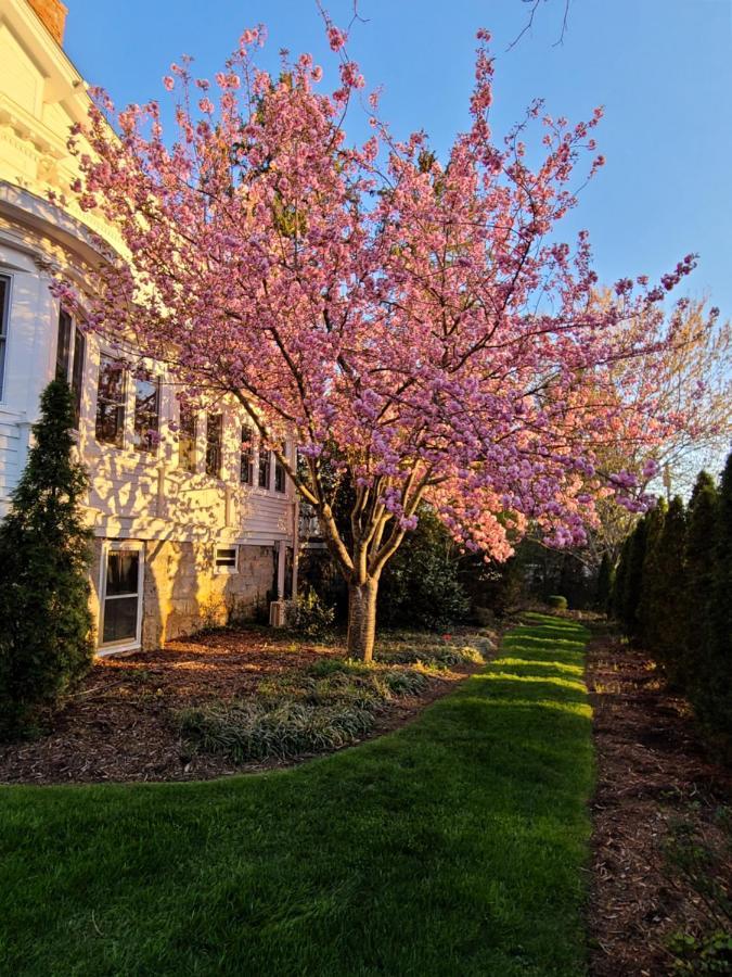 Albemarle Inn - Asheville Exteriér fotografie